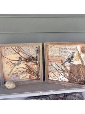 Framed 10x10 Bird Shadow Box Art – Naturalist Style Assemblage - 2 in Series